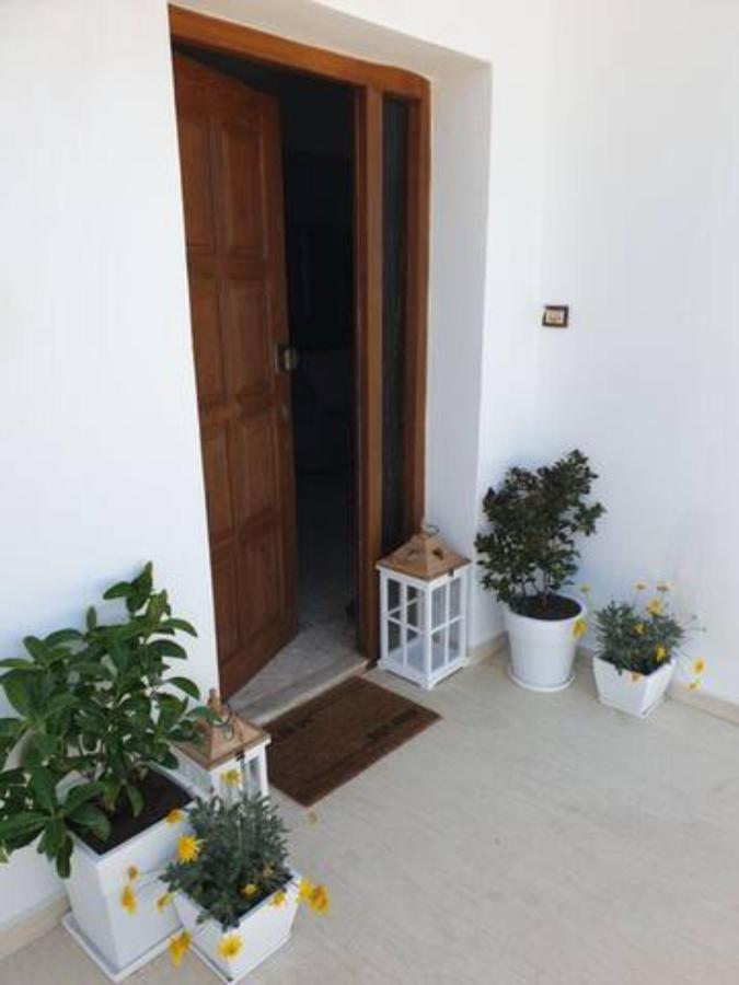Palaikastro Holiday Apartment Σητεία Εξωτερικό φωτογραφία