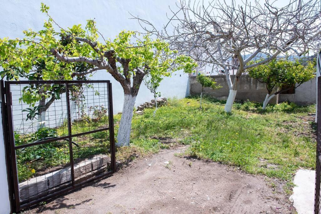 Palaikastro Holiday Apartment Σητεία Εξωτερικό φωτογραφία